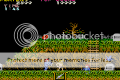 Ghosts'n Goblins