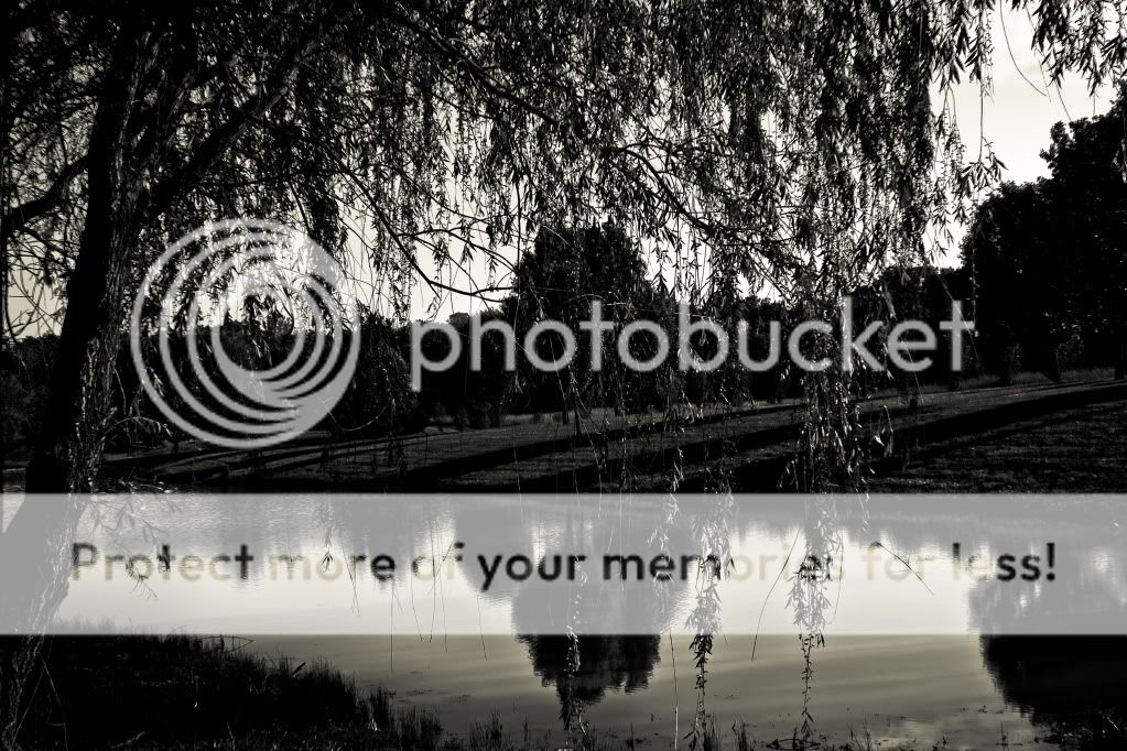 IMAGE: http://i624.photobucket.com/albums/tt325/RonA18/For%20Canon%20Digital%20Photography/IMG_9999-2.jpg