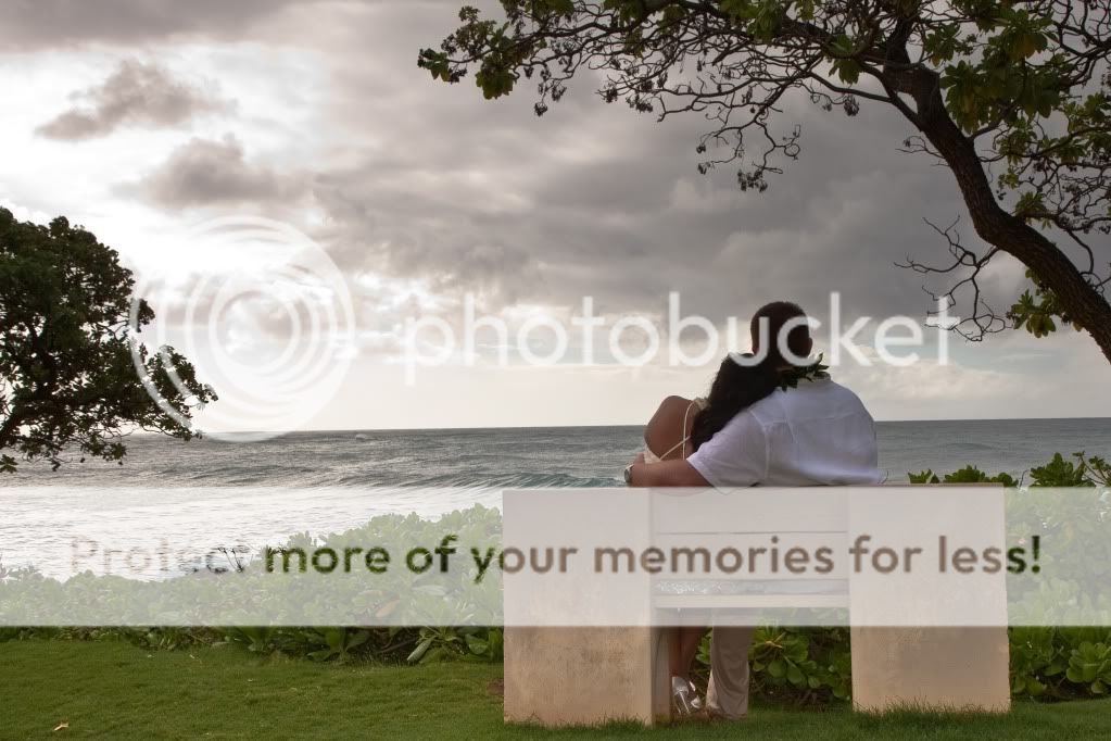 IMAGE: http://i624.photobucket.com/albums/tt325/RonA18/IMG_0533-NoLight.jpg