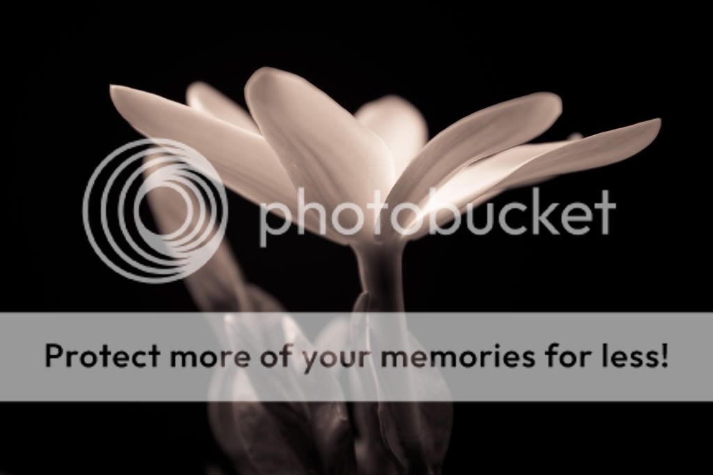 IMAGE: http://i624.photobucket.com/albums/tt325/RonA18/IMG_3990.jpg