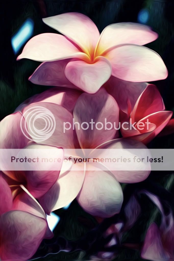 IMAGE: http://i624.photobucket.com/albums/tt325/RonA18/PlumeriaArt2.jpg
