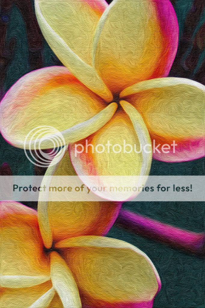 IMAGE: http://i624.photobucket.com/albums/tt325/RonA18/PlumeriaCanvas.jpg