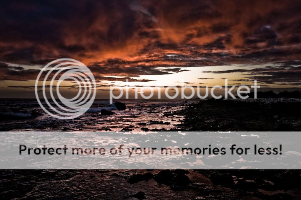 IMAGE: http://i624.photobucket.com/albums/tt325/RonA18/Wake%20Island/IMG_3154.jpg