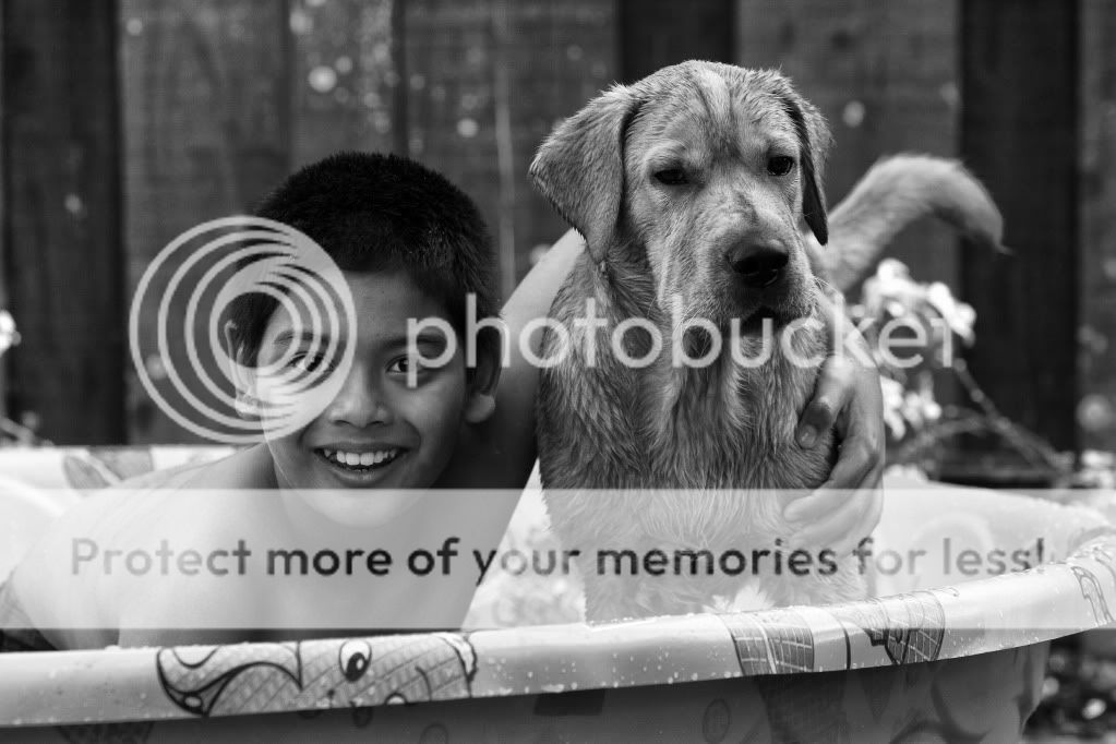 IMAGE: http://i624.photobucket.com/albums/tt325/RonA18/_MG_0434.jpg