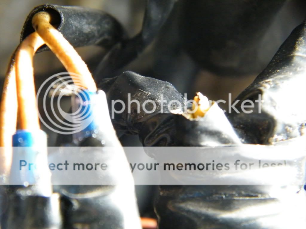 Triumph TT600 - Misfiring - we have a diagnosis! - Bike ... triumph tt600 wiring diagram 
