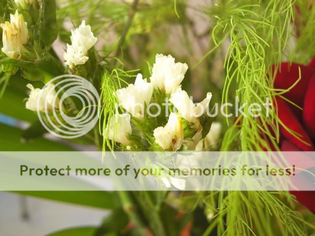 topic về những hình ảnh chụp bằng điện thoại di động - 4