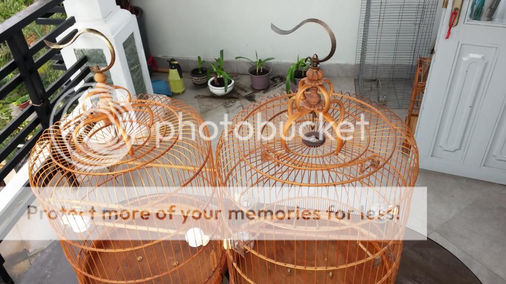 Thanh lý cặp lồng ông Tuấn ! - 4