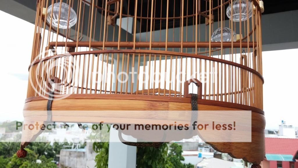 Thanh lý cặp lồng ông Tuấn ! - 3