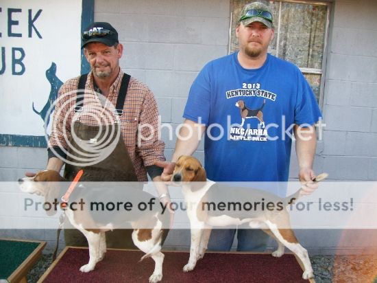 scroghams blue kennel