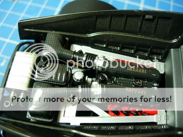 Posted Image