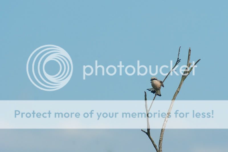 Fotografie