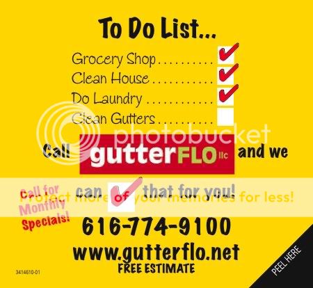 Gutter Cleaning,Gutter Protection,Gutters,Gutter Maintenance,Gutter Installation