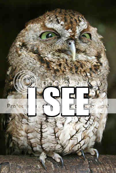 http://i624.photobucket.com/albums/tt330/donttellharry/Owl_I_See.jpg