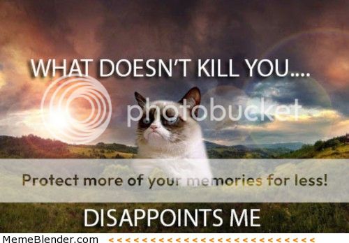 grumpy.jpg